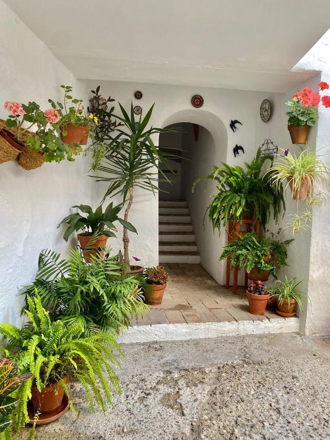 Amal Casa De Huespedes Córdoba Exterior foto