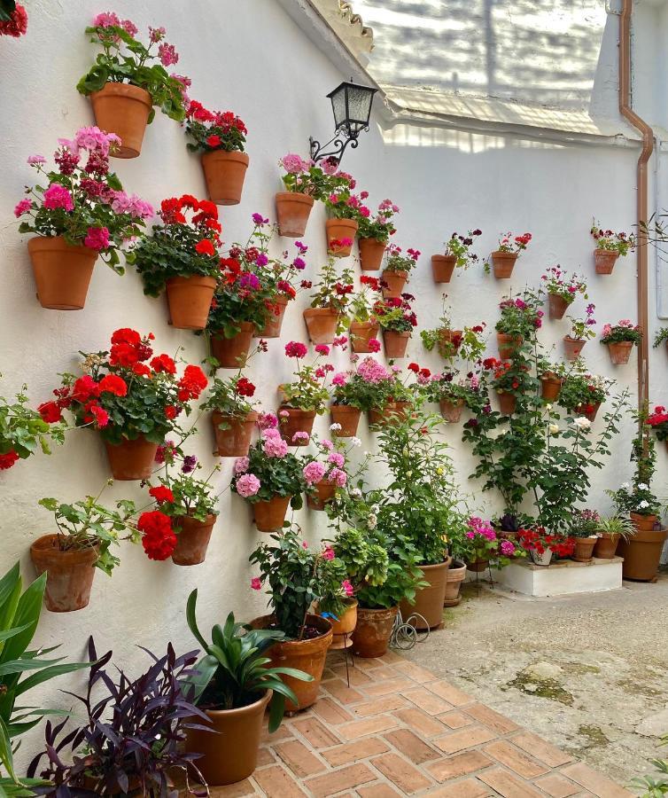 Amal Casa De Huespedes Córdoba Exterior foto